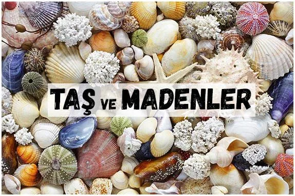 TAŞ MADEN